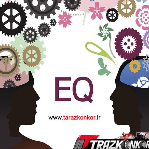 تأثیر هوش هیجانی بر موفقیت تحصیلی تست رایگان