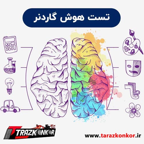 هوش های چندگانه تعریف