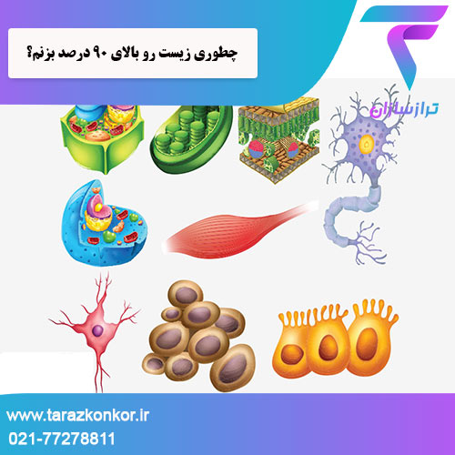 چطوری زیست رو بالای 90 درصد بزنم ترازکنکور